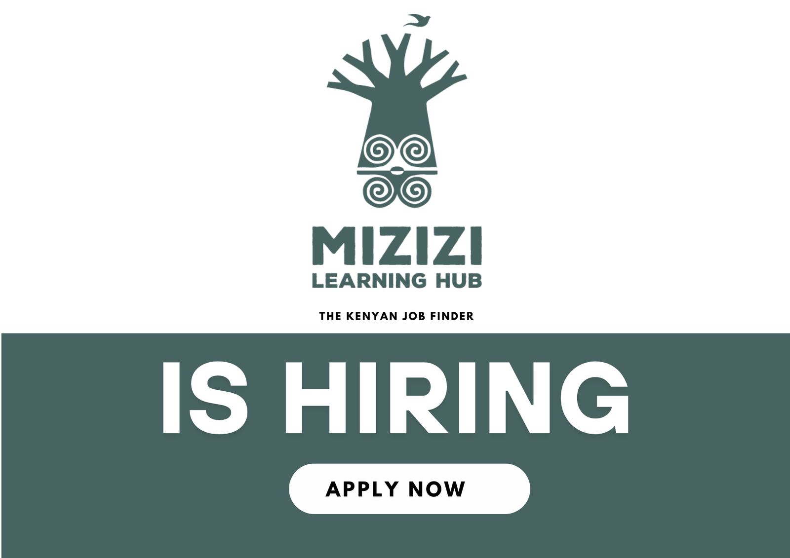 Mizizi Learning Hub