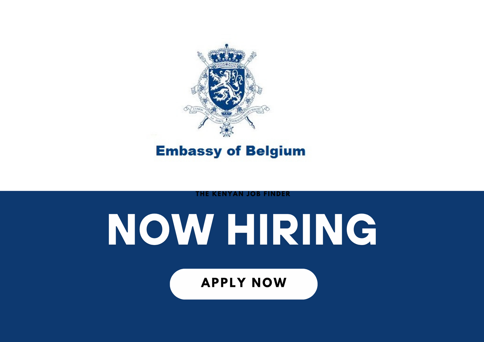 Logistics Officer – Nairobi | Embassy of Belgium 2025