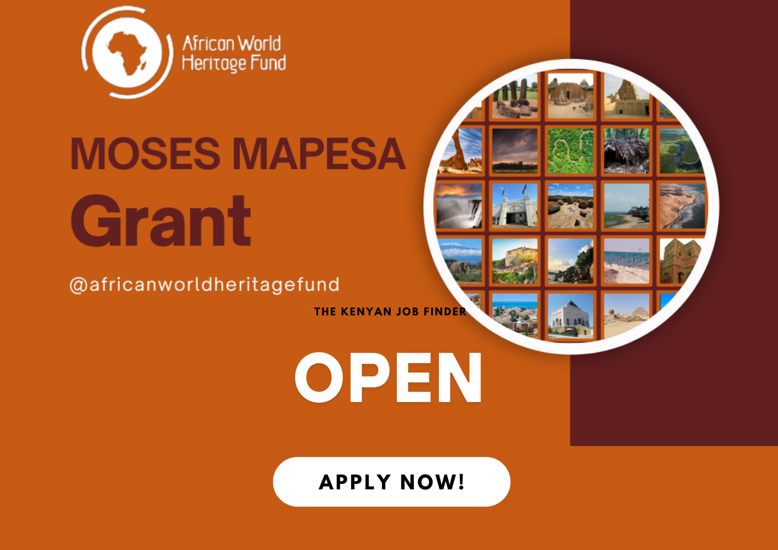Moses Mapesa Education and Research Grant – Africa 2025