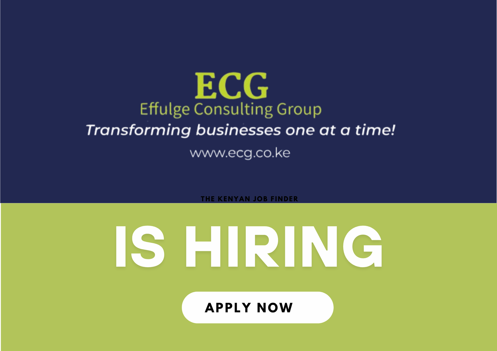Graduate Trainee Job in Kenya – Effulge Consulting Programme 2025