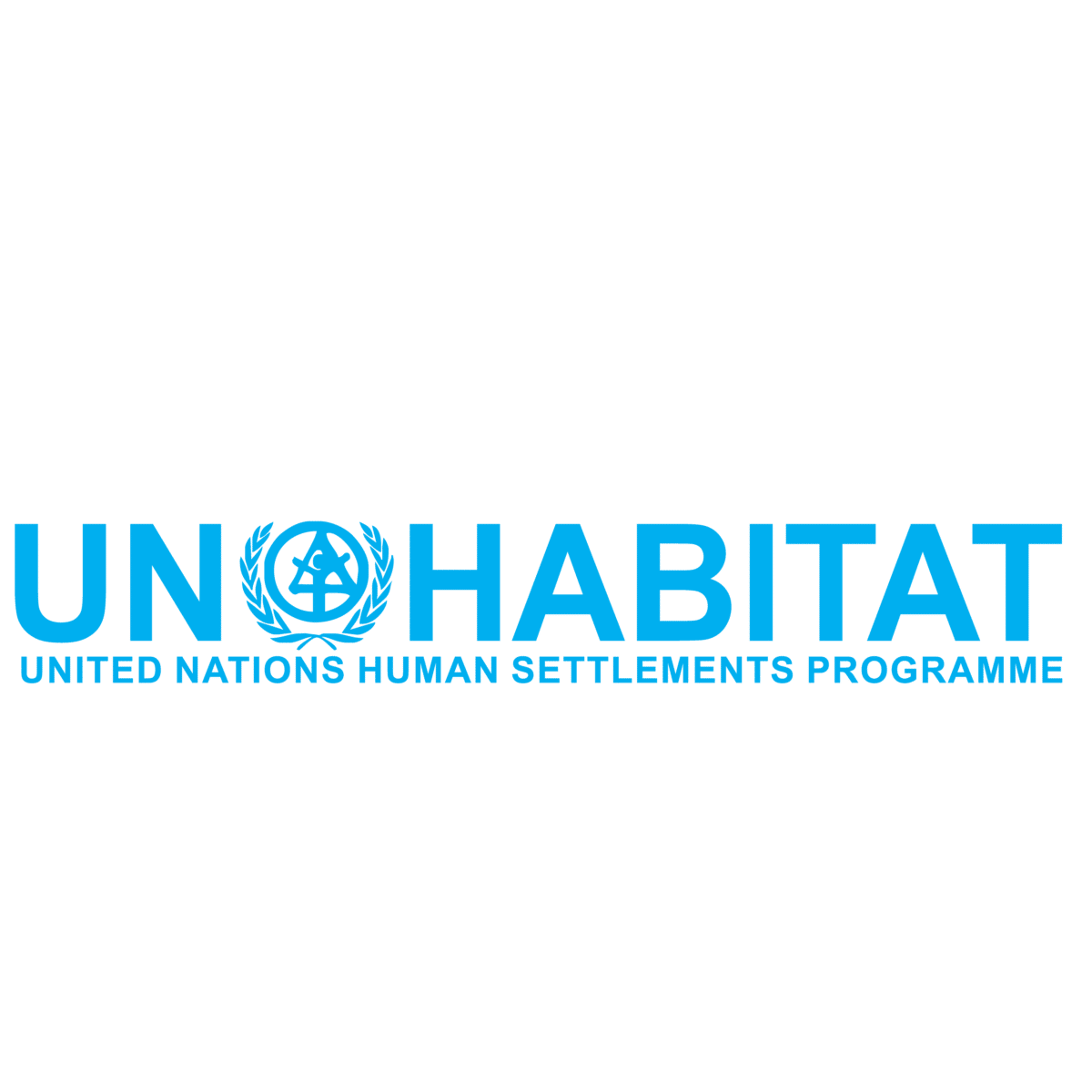 Administrative Assistant (G6) & Director, Programme Management (D2) – Nairobi | UN-Habitat 2025