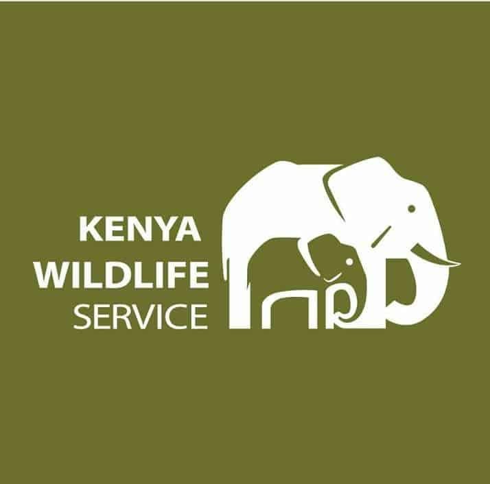 Corporation Secretary/Director Legal Services (E3) & Director Planning, Partnerships & Enterprise (E2) – Nairobi | Kenya Wildlife Service 2025