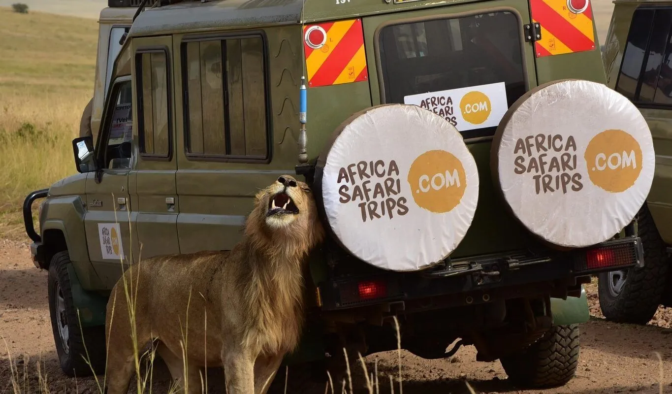 5 Internships – Africa Safari Trips (Nairobi & Mombasa) | KES 20K–35K Monthly Stipend