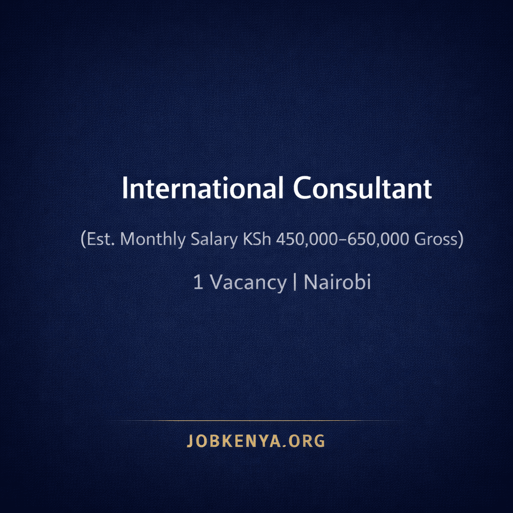 INTERNATIONAL CONSULTANT (EST. MONTHLY SALARY KSH 450,000–650,000 GROSS) – 1 VACANCY | NAIROBI
