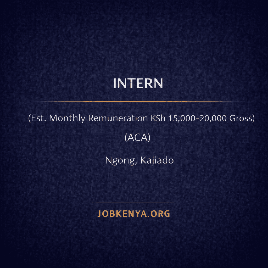 INTERN (EST. MONTHLY REMUNERATION KSH 15,000–30,000 GROSS) | community-based organization- 2026